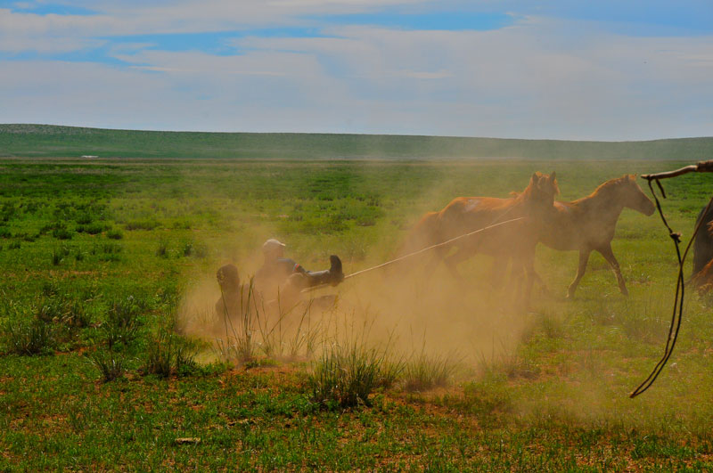 Mongolie